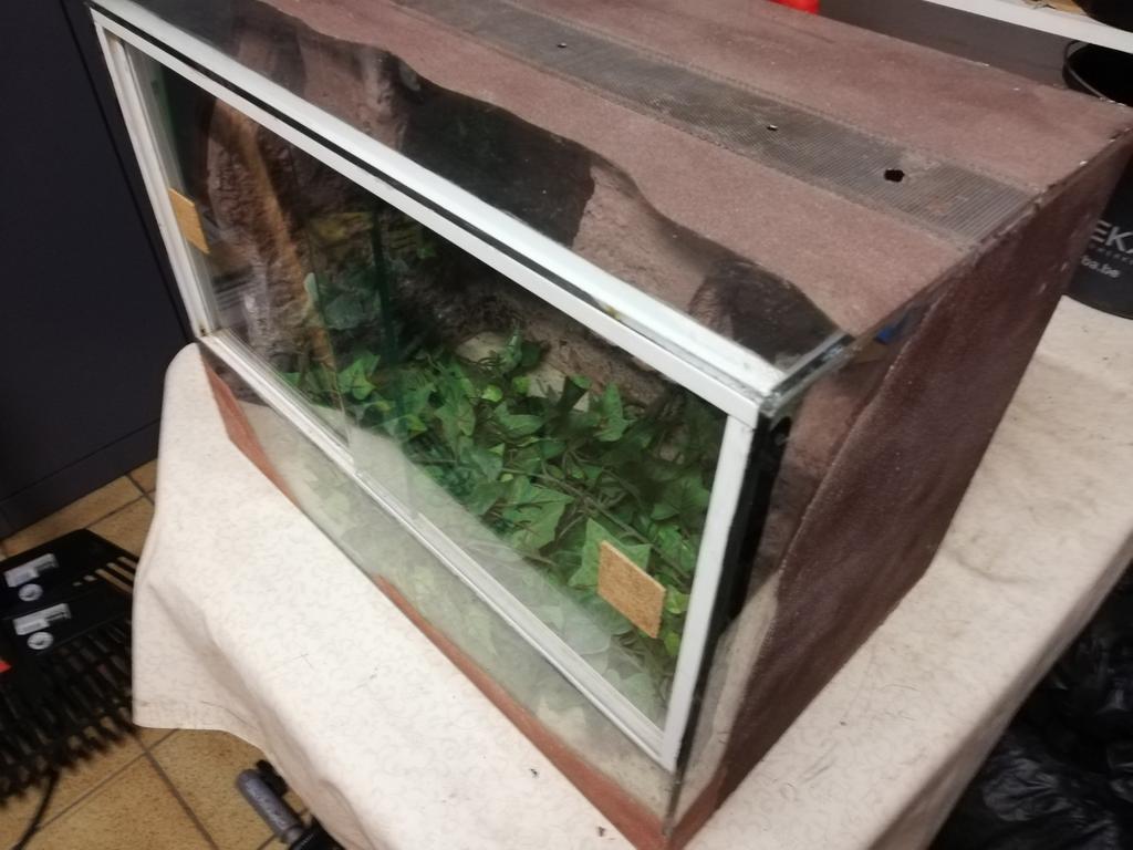 Terrarium, Dieren en Toebehoren, Ophalen, Gebruikt, Terrarium of Paludarium
