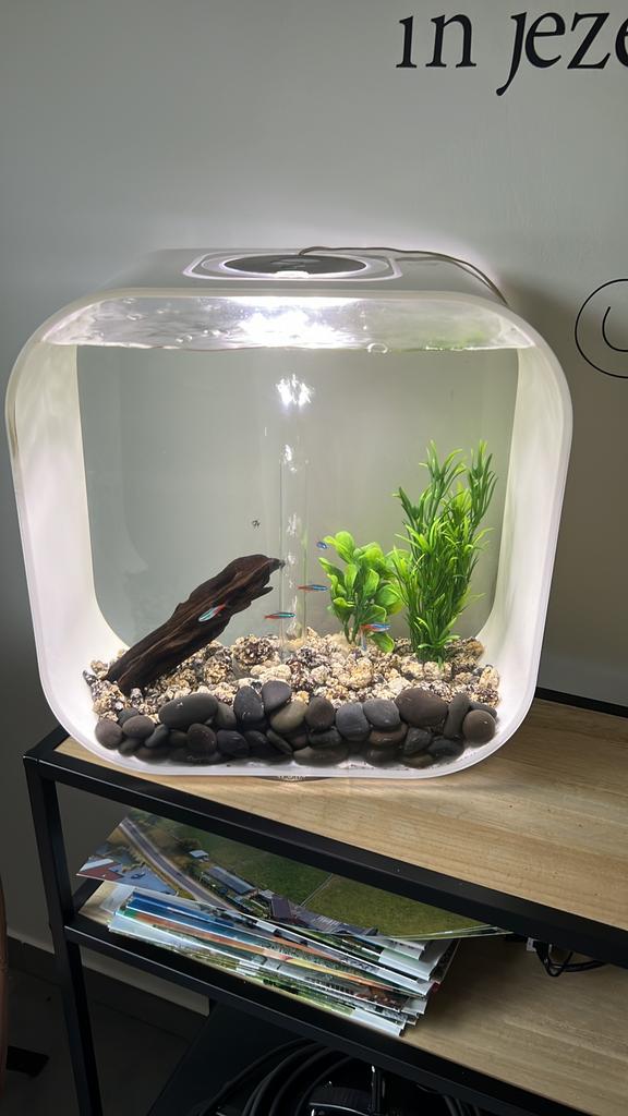 Biorb aquarium 30 L, Dieren en Toebehoren, Ophalen, Zo goed als nieuw