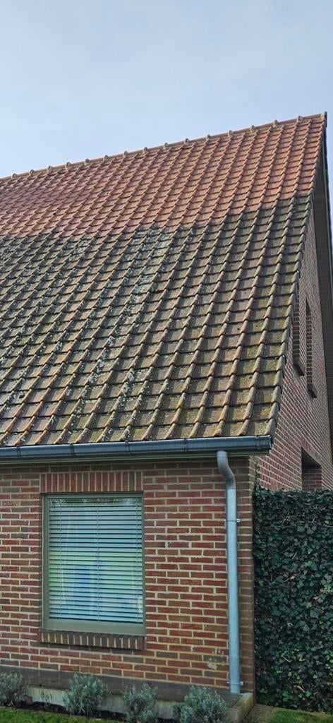 reinigen van daken, gevels, inritten en zonnepanelen, Diensten en Vakmensen, Overige Diensten