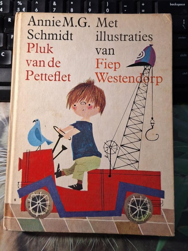 Het boek Pluk van de Petteflet van Annie M.G. Schmidt., Garçon ou Fille, Enlèvement ou Envoi, Fiction général, Annie M.G. Schmidt; Fiep Westendorp