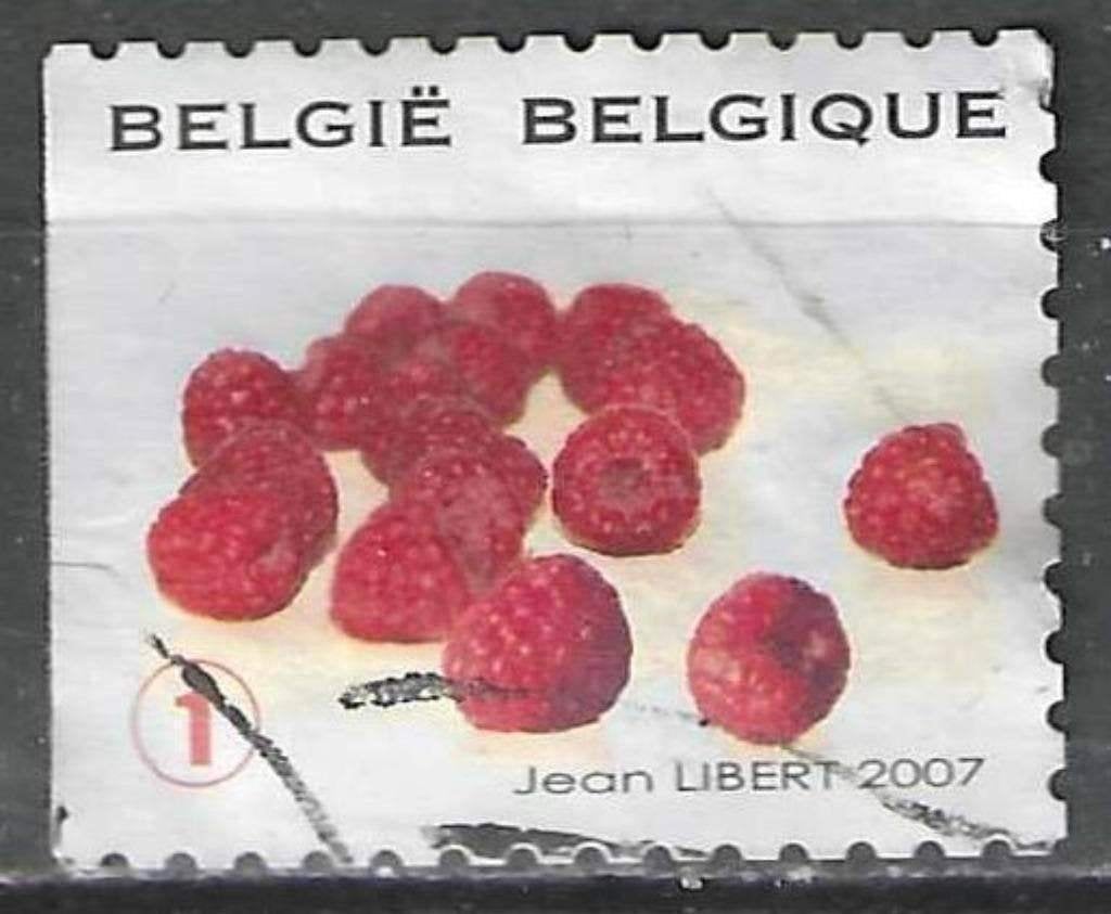 Belgie 2007 - Yvert 3678 /OBP 3691 - Framboos (ST), Verzenden, Gestempeld, Gestempeld