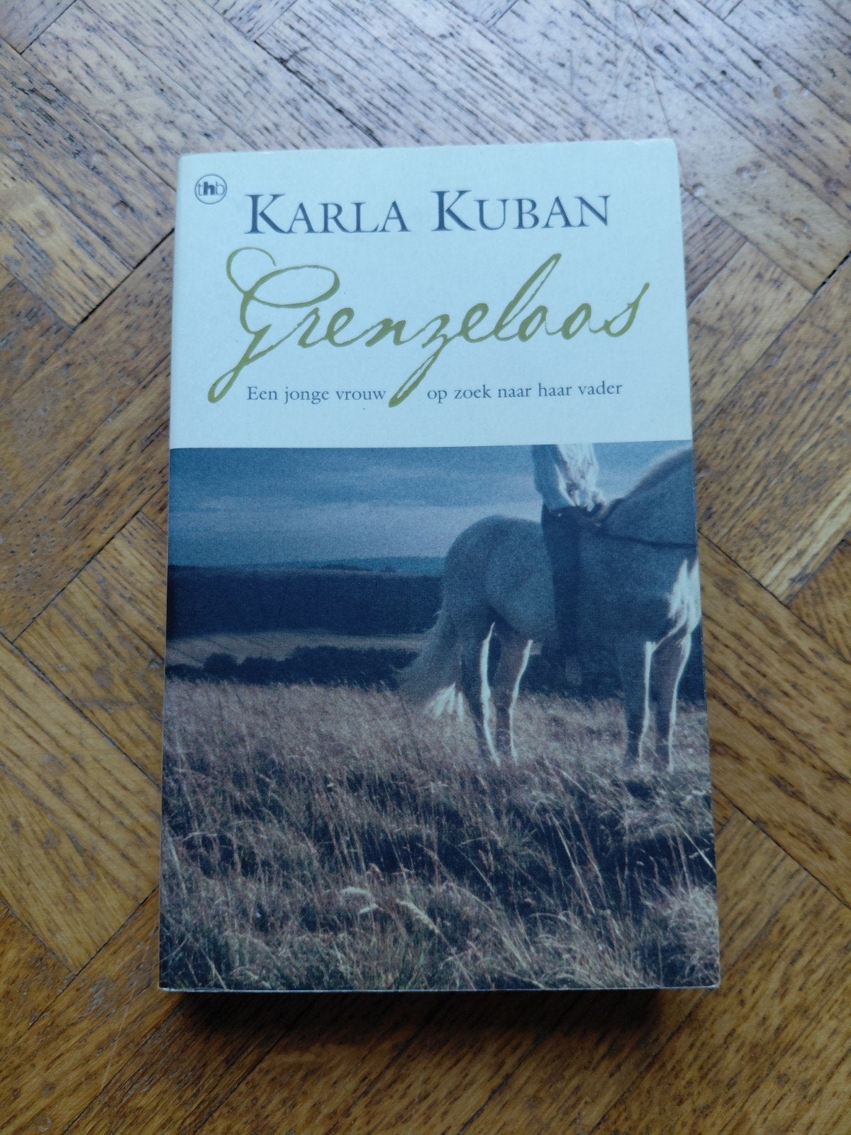 Karla Kuban: Grenzeloos, Livres, Romans, Utilisé, Enlèvement ou Envoi