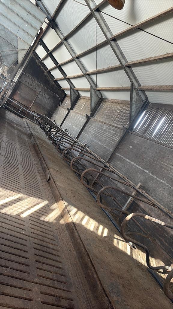 Ligbedden koeien 36st zwevend