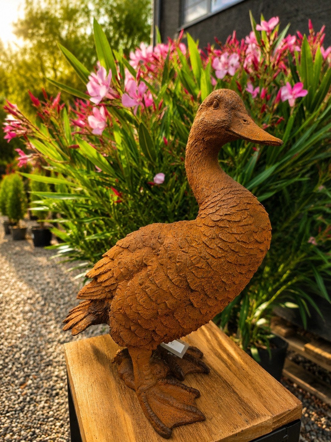 Tuindecoratie - eend, Tuin en Terras, Tuinbeelden, Ophalen