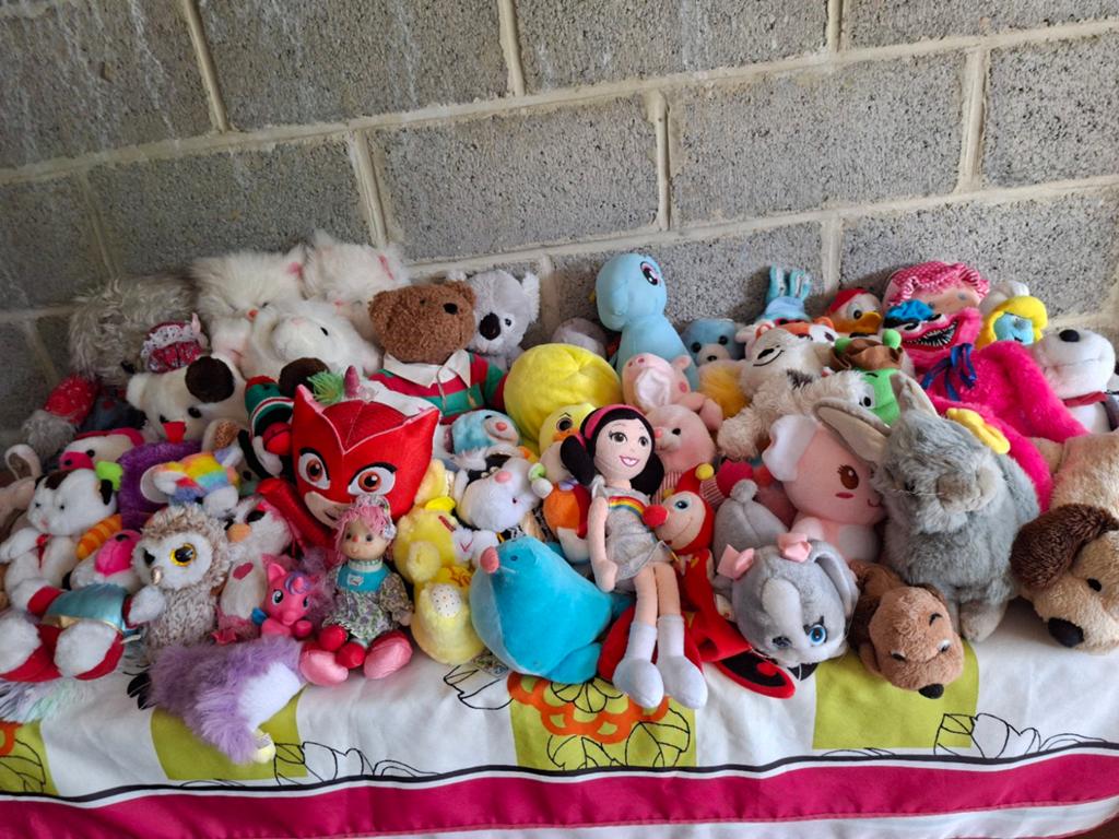 Mooie knuffels. Geen enkel vlekje., Enlèvement
