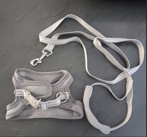 Ensemble harnais & laisse pour chat/chien XXS Neuf, Enlèvement ou Envoi, Neuf, Collier