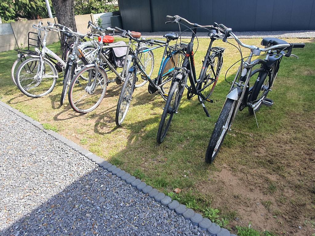 Lot Package à vendre : des vélos pour femmes et pour hommes, Accès (extra) bas, Batavus, 53 à 56 cm, Comme neuf