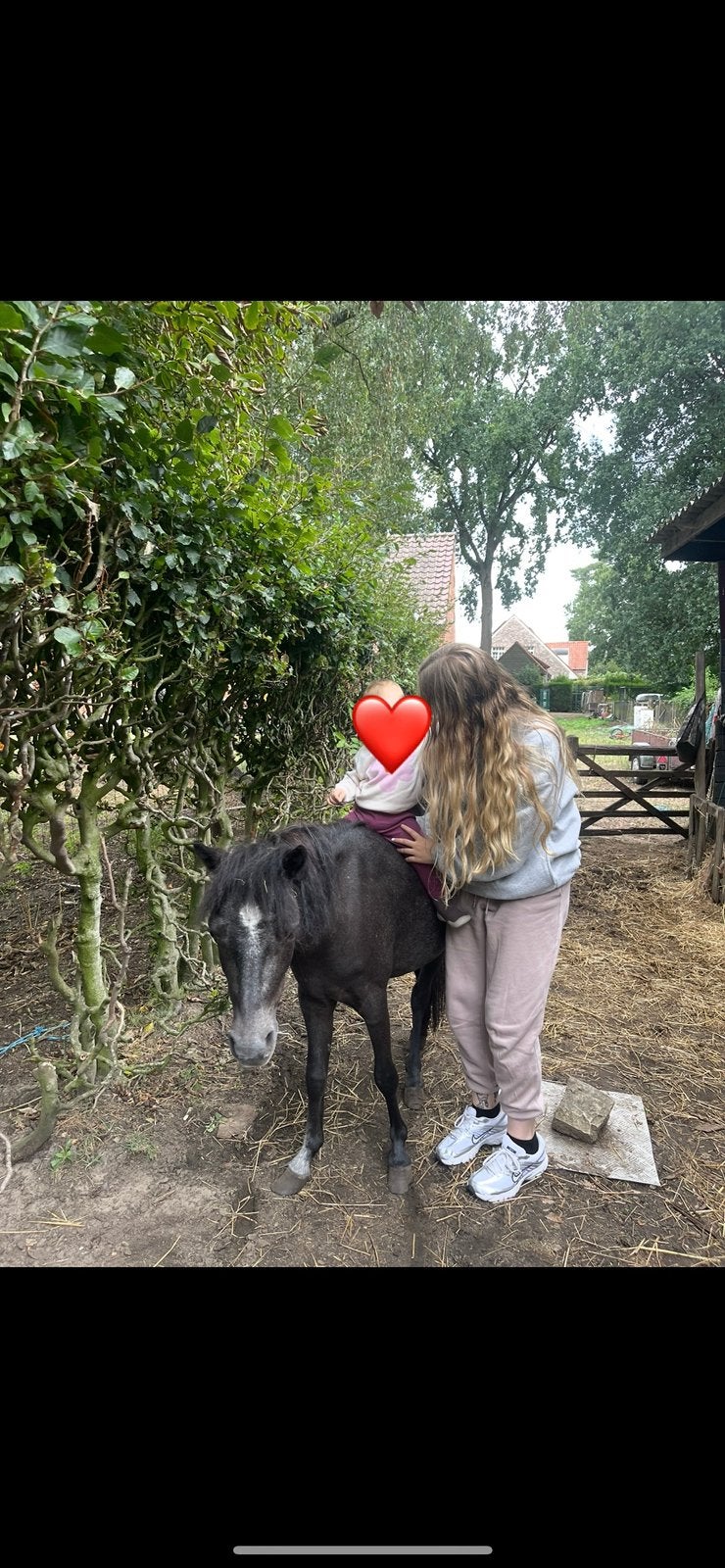 Super lieve pony te koop, Enlèvement ou Envoi, Comme neuf