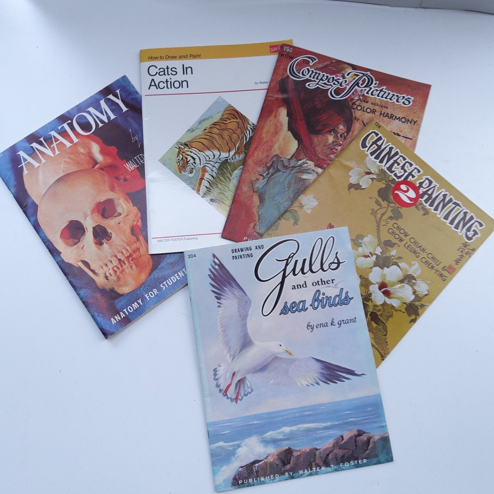 Walter Foster: Set van 4 grootboek vintage tekengidsen., Hobby en Vrije tijd, Ophalen of Verzenden