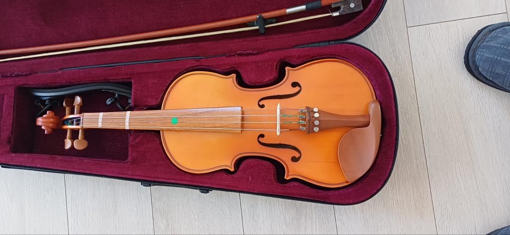 een mooi  viool gemaakt van palissanderhout, Muziek en Instrumenten, Ophalen of Verzenden