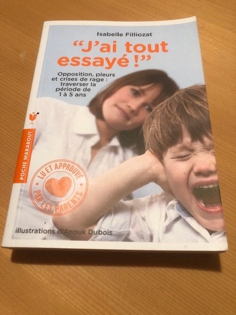 Livre 'J'ai tout essayé', Livres, Enlèvement, Comme neuf