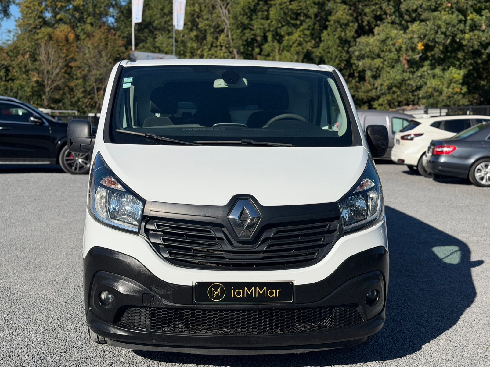 RENAULT TRAFIC - BTW IN, Autos, Achat, Euro 6, Entreprise, 3 places