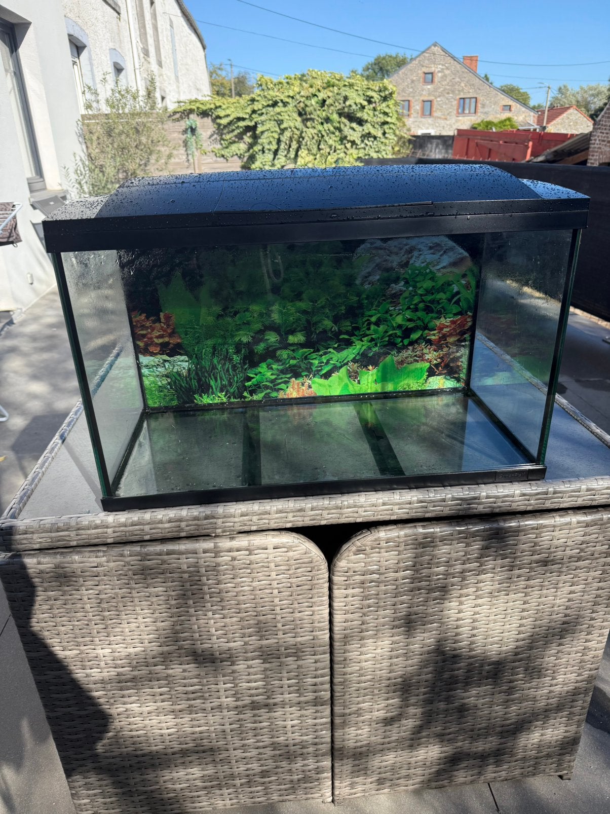Aquarium superfish 100l, Ophalen, Zo goed als nieuw, Superfish