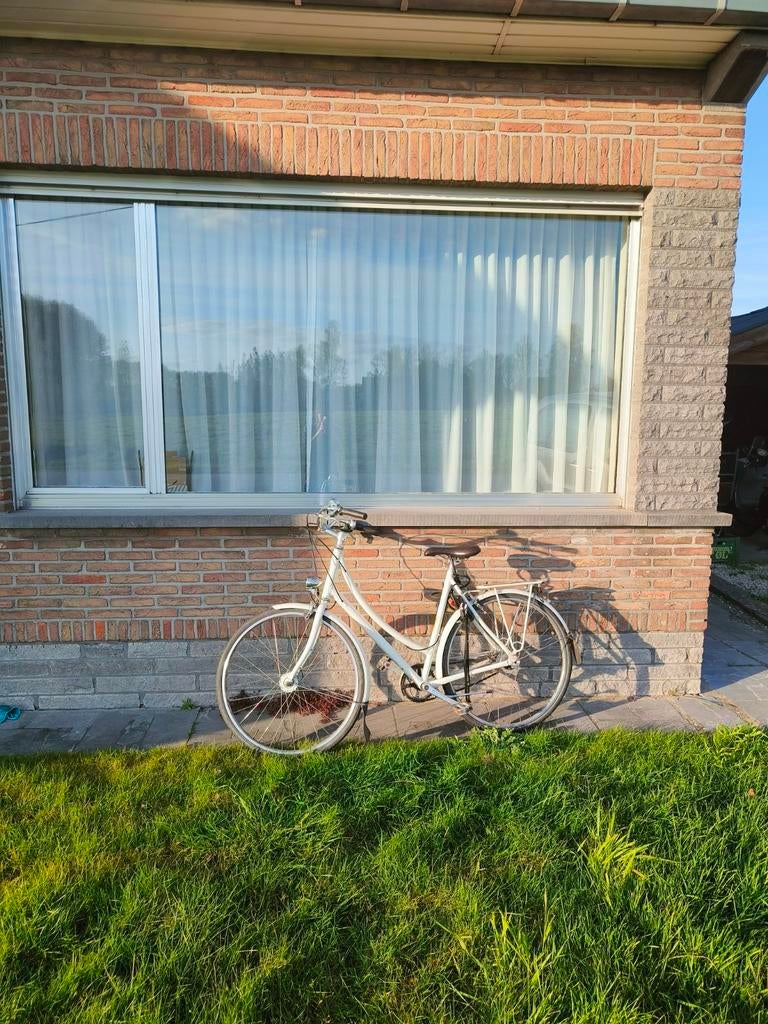 Specialized Daily damesfiets maat L, Ophalen