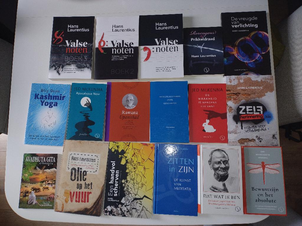 Advaita Vedanta, non-dualiteit, meditatie, Boeken, Ophalen of Verzenden, Zo goed als nieuw