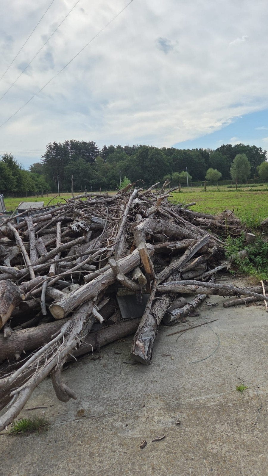 brandhout, Tuin en Terras, Ophalen