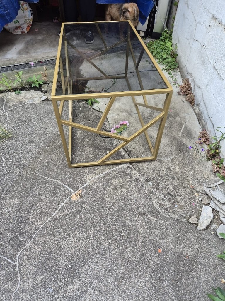 Table de salon, Ophalen, Gebruikt, 50 tot 100 cm, 50 tot 100 cm