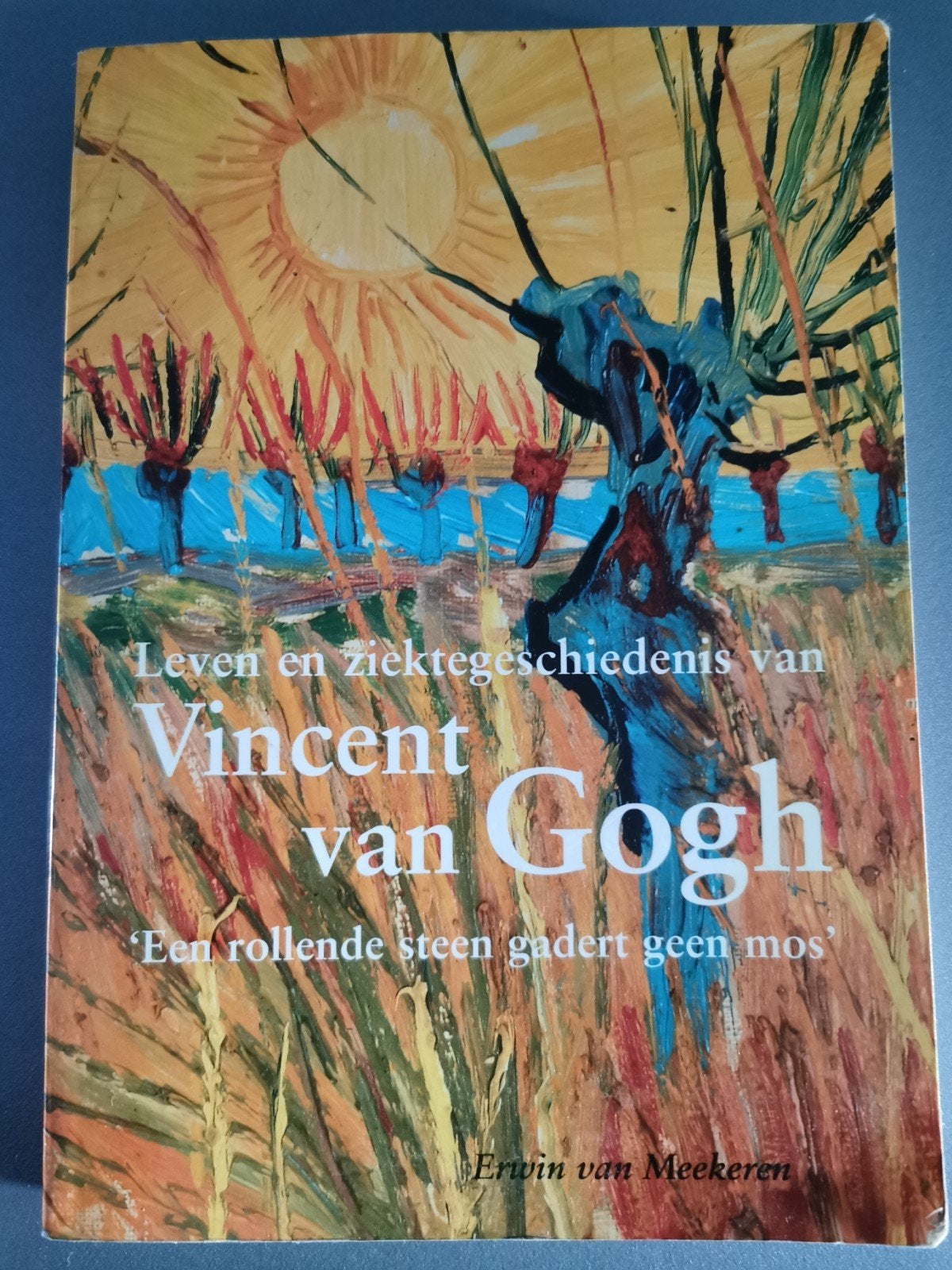 Leven en ziektegeschiedenis van Vincent van Gogh, Boeken, Ophalen of Verzenden
