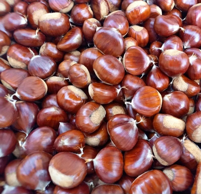 Kastanjes, Ophalen of Verzenden