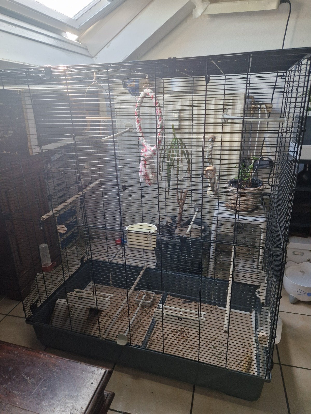 Kooien + valkparkieten, Ophalen, Zo goed als nieuw, Metaal, Vogelkooi