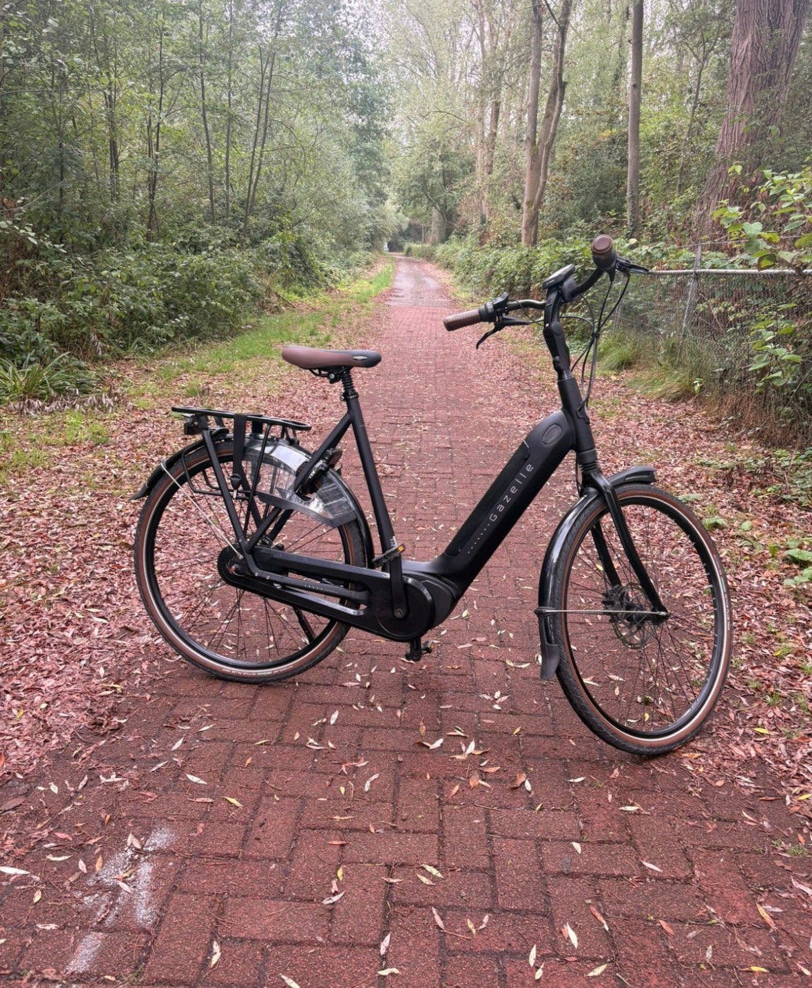Gazelle grenoble c8, Ophalen, Zo goed als nieuw, 59 cm of meer, 50 km per accu of meer