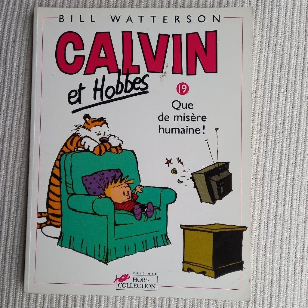 CALVIN ET HOBBES T19, Livres, Enlèvement ou Envoi