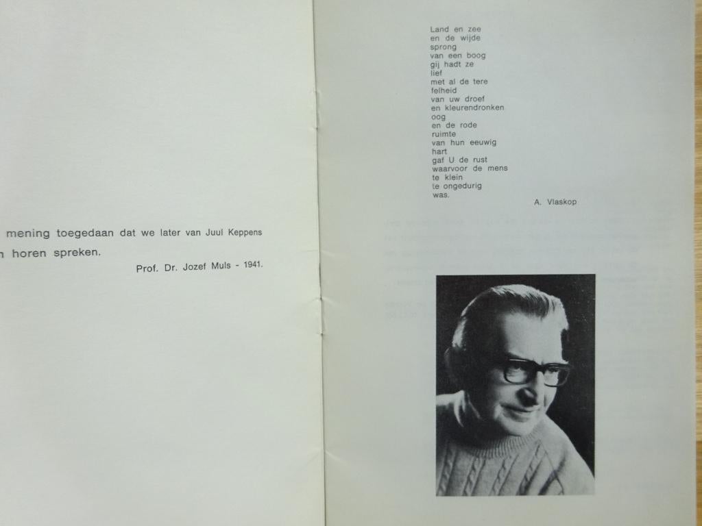 Juul Keppens 60, monografische brochure 1970, Boeken, Ophalen of Verzenden, Gelezen, Schilder- en Tekenkunst