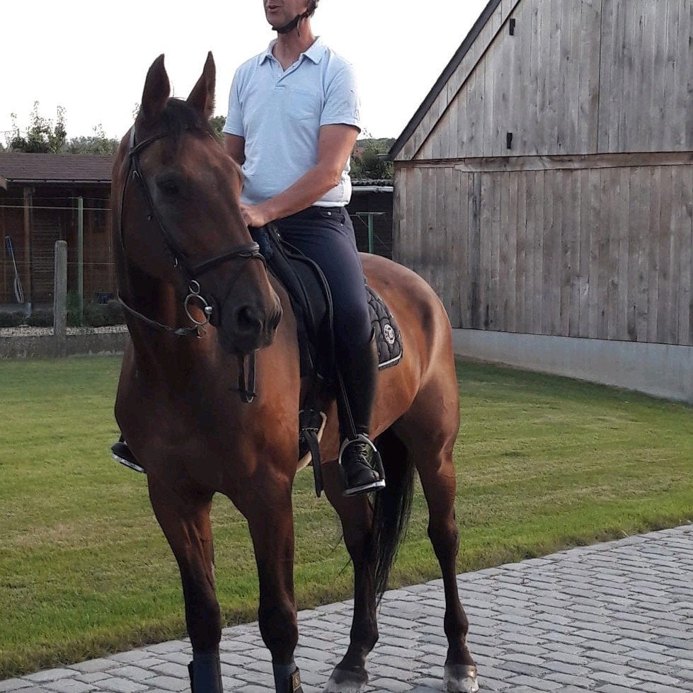 stalhulp aangeboden mits vergoeding, Dieren en Toebehoren
