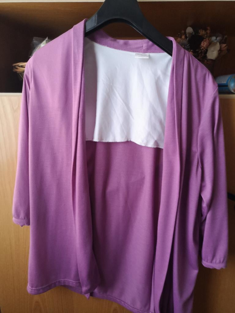 Paarse cardigan Damart M/L, Kleding | Dames, Ophalen of Verzenden, Maat 38/40 (M)