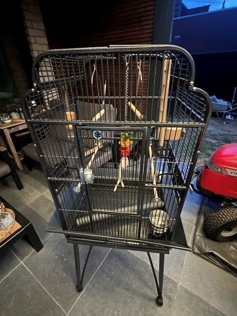 Vogelkooi, Ophalen, Gebruikt, Metaal, Vogelkooi