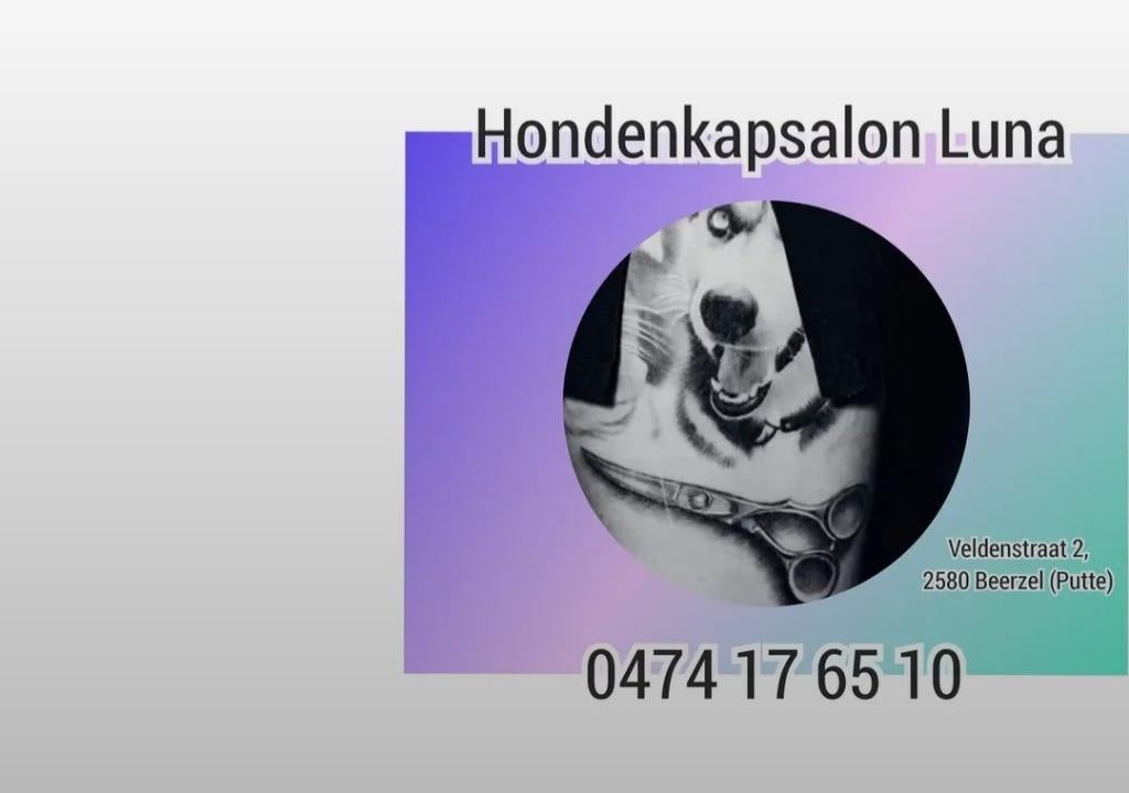 Hondenkapsalon Luna neemt nog nieuwe woefkes aan, Animaux & Accessoires, Enlèvement