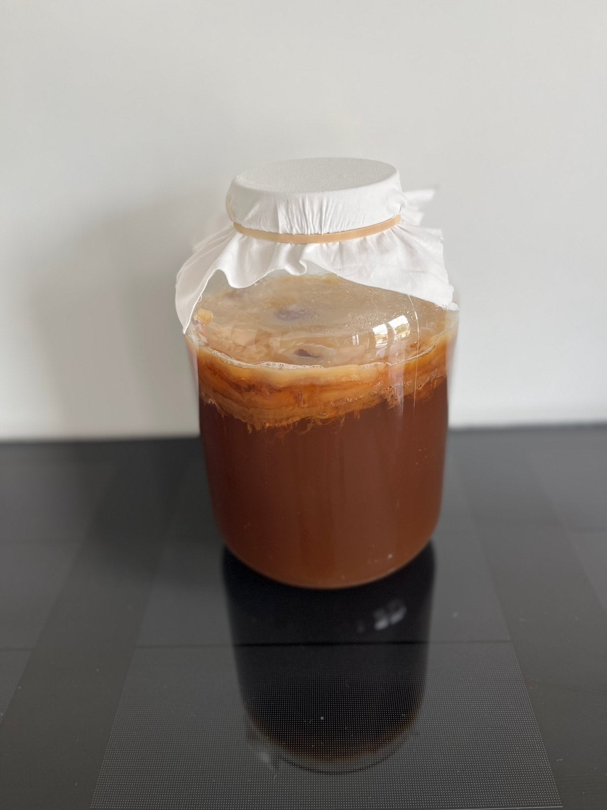 Kombucha / Jun, Ophalen