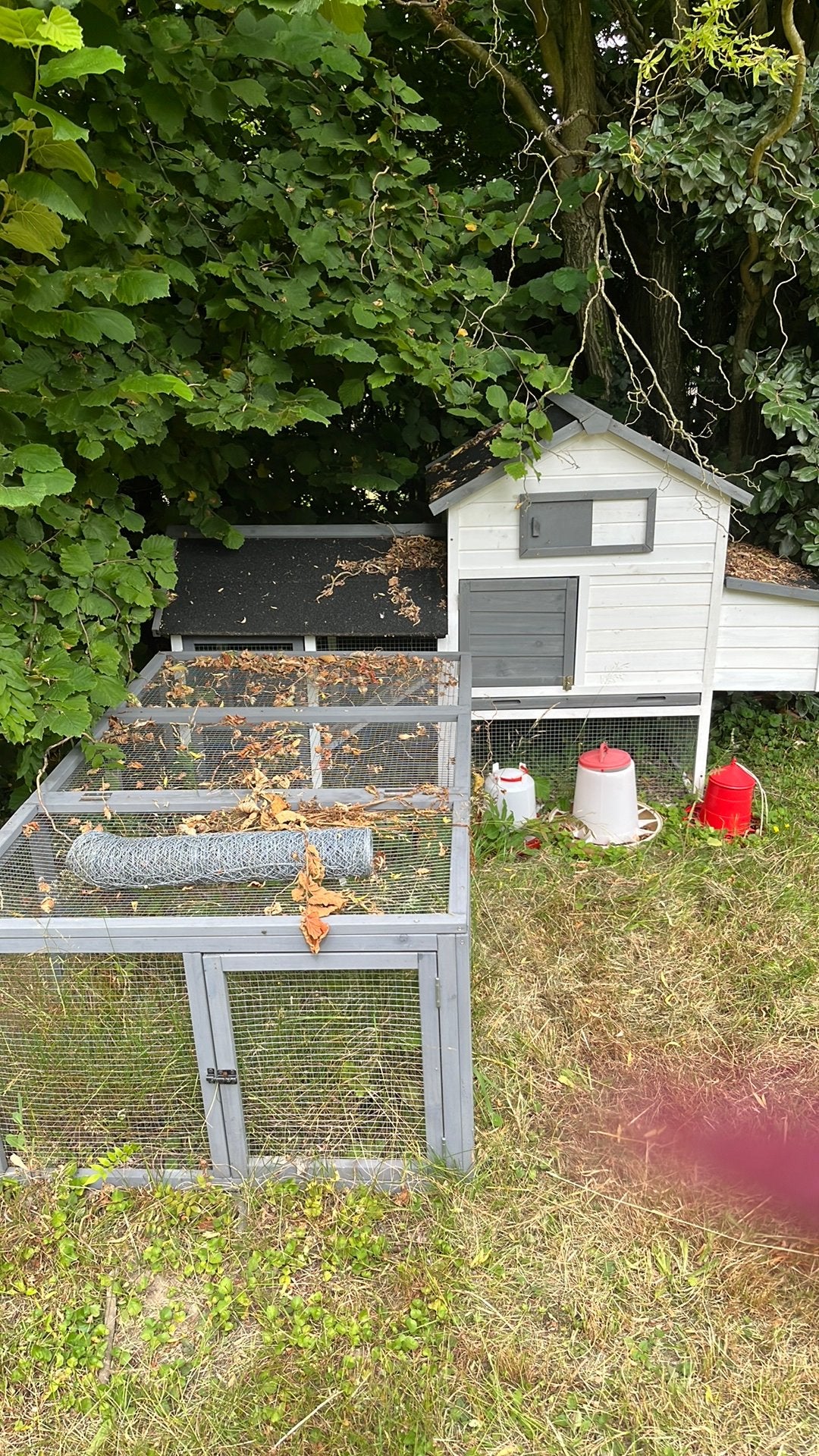 Maison poules, Animaux & Accessoires, Enlèvement, Neuf