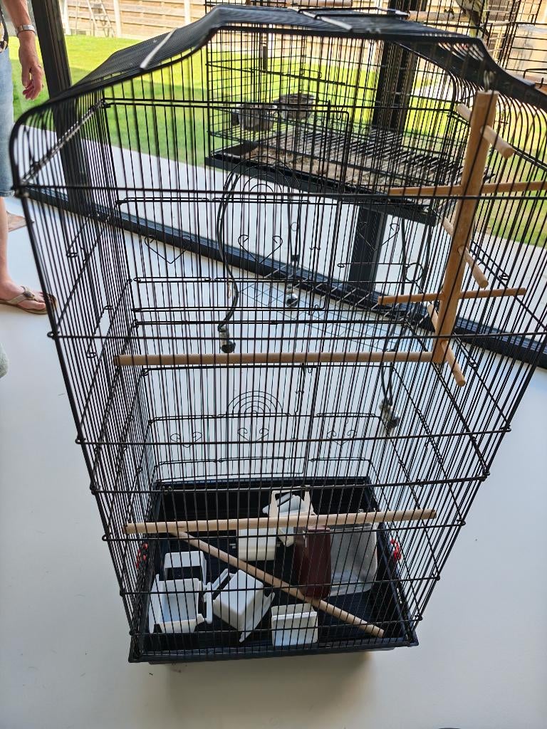 Vogelkooi voor kleine vogel, Ophalen, Gebruikt, Metaal, Vogelkooi