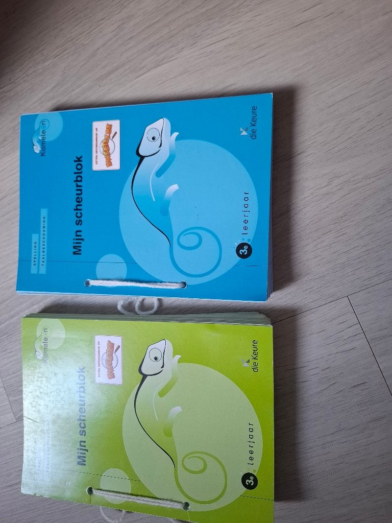 Kameleon scheurblokken 3de leerjaar, Boeken, Ophalen of Verzenden, Zo goed als nieuw, Nederlands