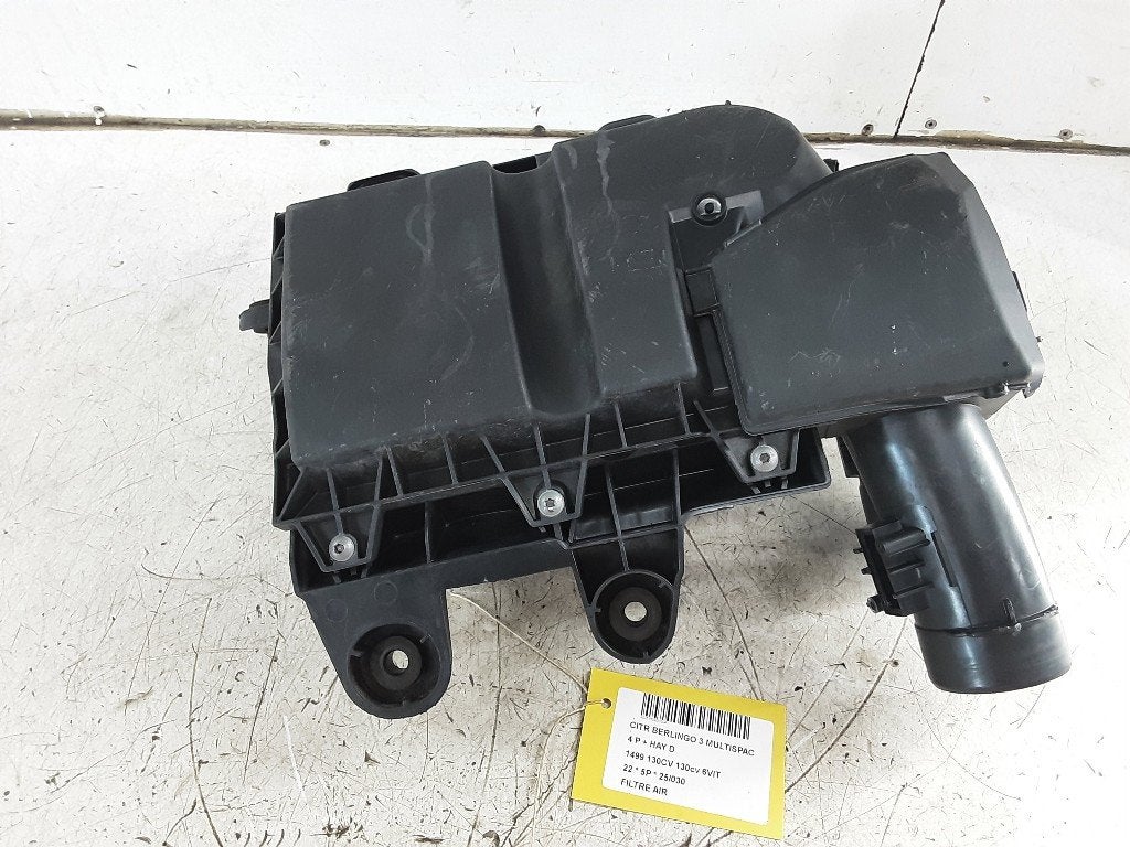 LUCHTFILTER Citroën Berlingo Multispace (9828002080), Gebruikt, Citroën, Kontakt-citroen@citroen.com, Citroën Deutschland GmbH
