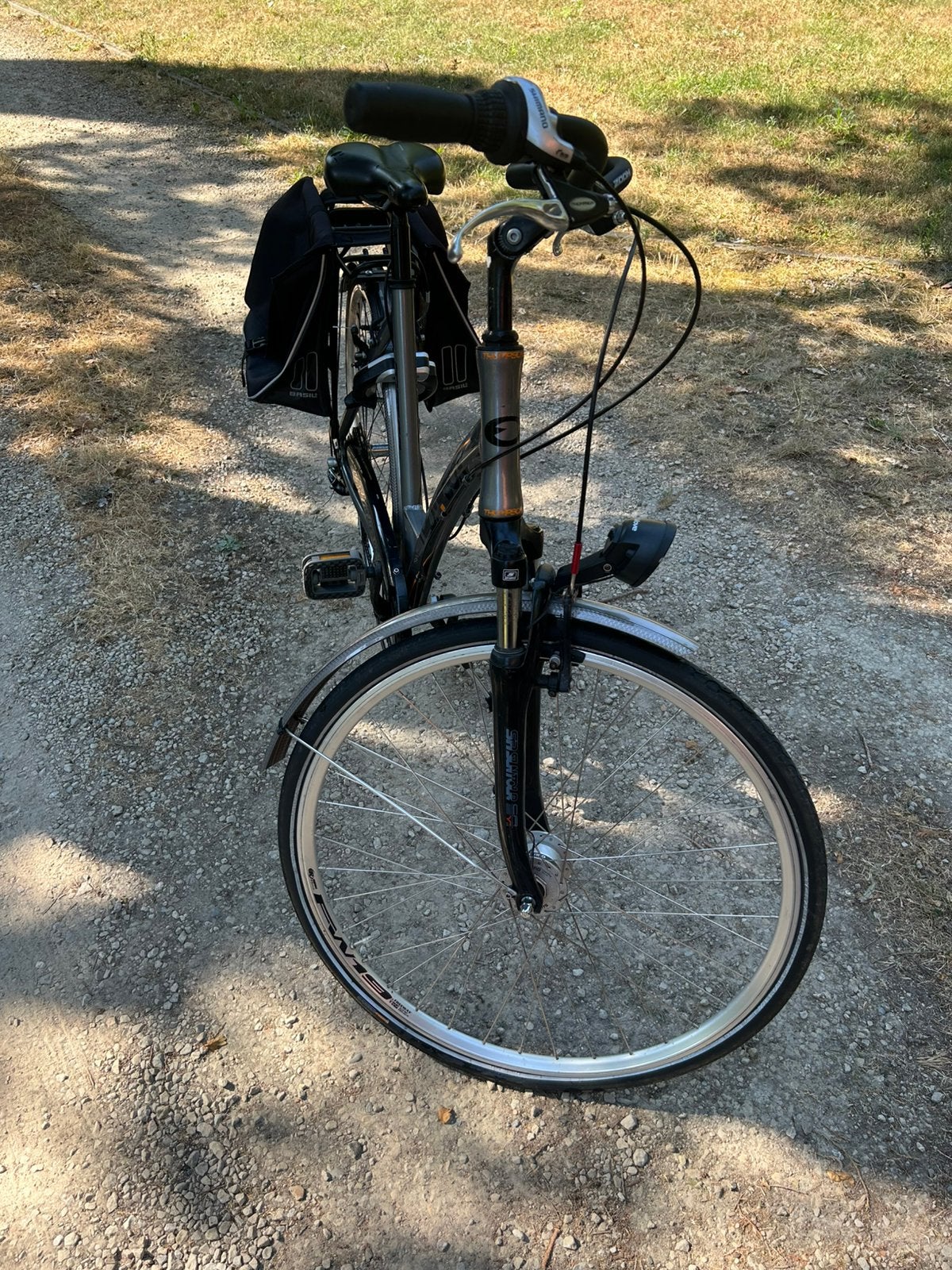 Thompson metro vrouwen fiets, Autres marques, Porte-buggy, Enlèvement, 50 à 53 cm