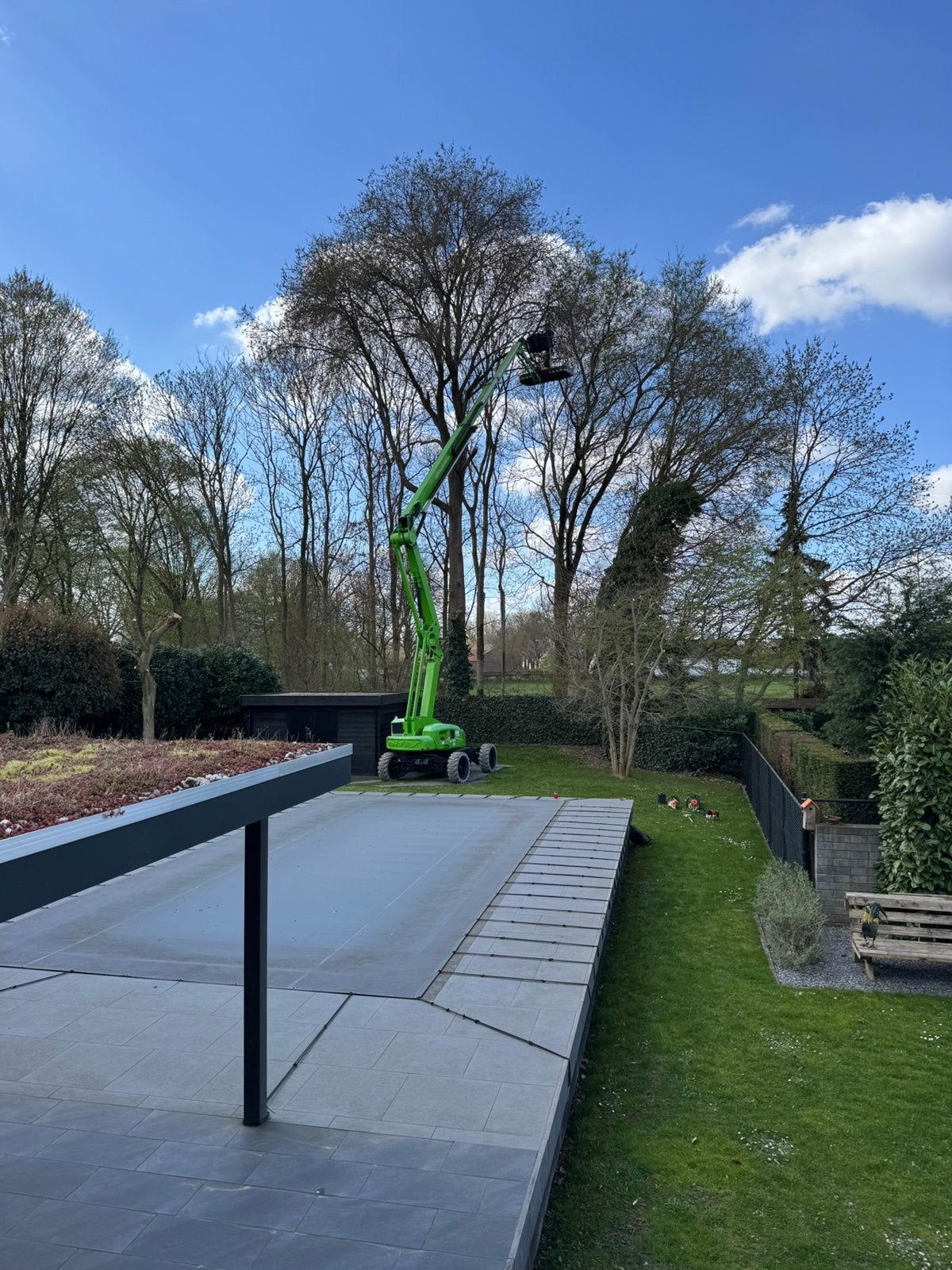 Boom snoeien/Rooien/Stronken verwijderen, Tuin en Terras, Ophalen
