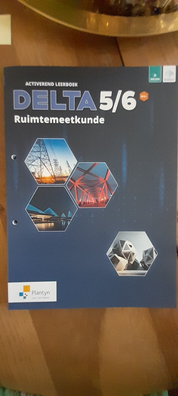 Delta 5/6 Ruimtemeetkunde  Activerend leerboek, Neuf, Griet Schatteman; Nicole De Wilde; Maarten Arts; Regi Op de B..., Enlèvement