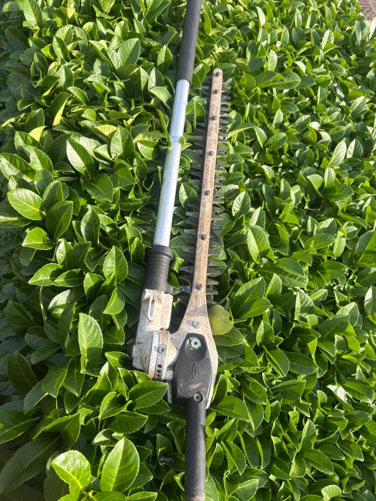 Taille hais perche hs stihl, Enlèvement, Comme neuf