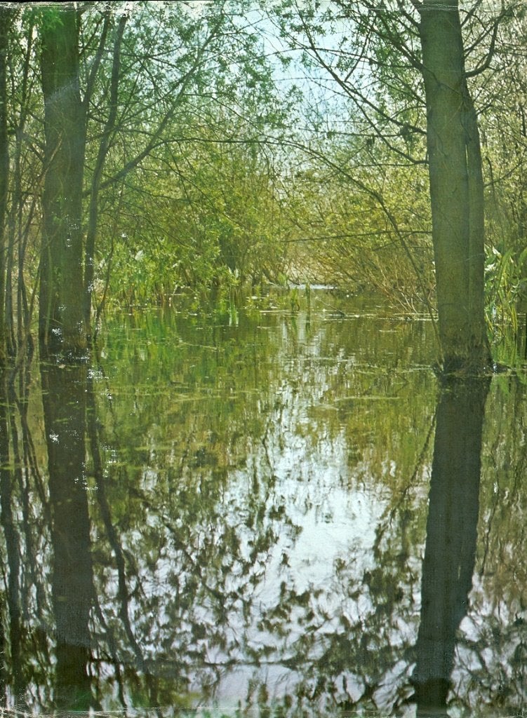 Parcs et réserves naturelles de Belgique , Boeken, Ophalen of Verzenden, Zo goed als nieuw, Natuur algemeen, E. Kesteloot