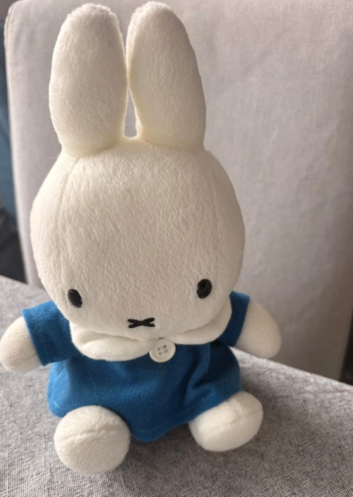 Nijntje - Nijntje knuffel, Verzamelen, Ophalen, Gebruikt