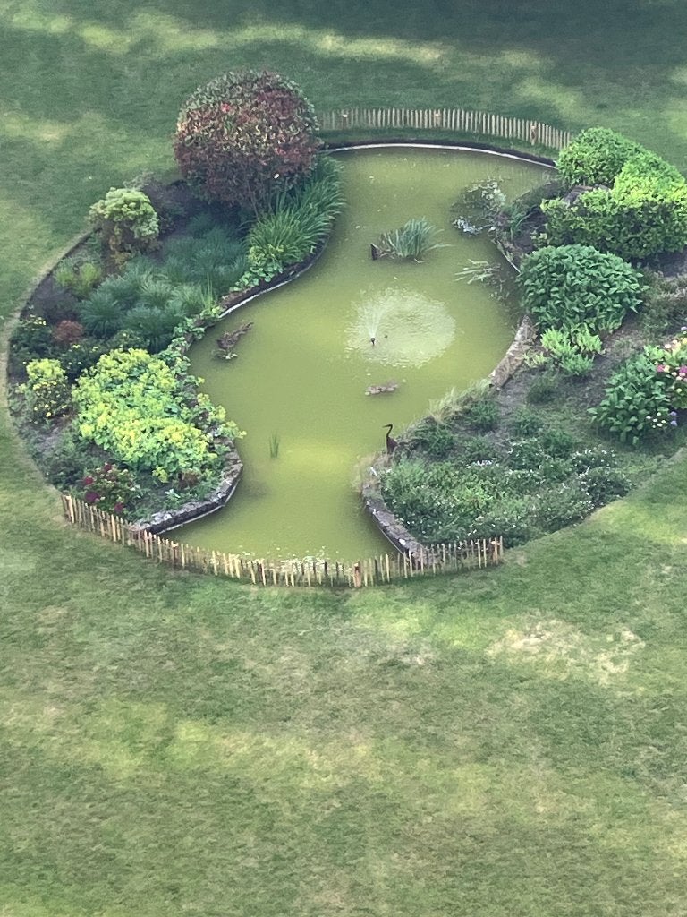 Zuurstofplanten  gezocht, Ophalen