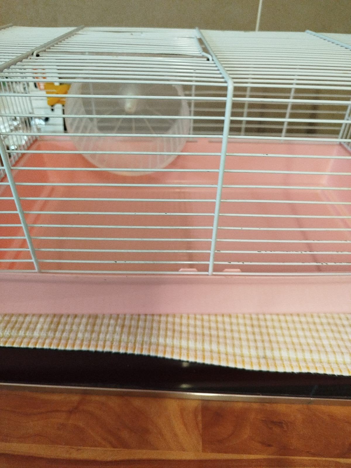 cage hamster, Enlèvement ou Envoi, Cage, Hamster