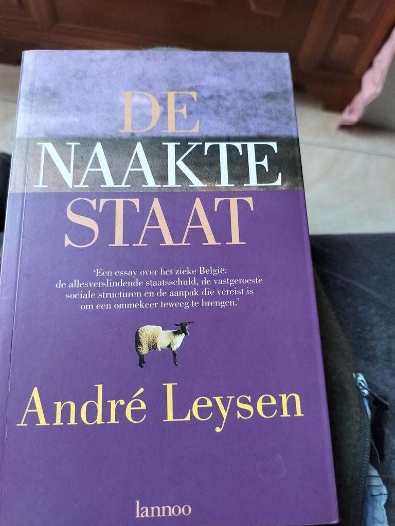 A. Leysen - De naakte staat, Boeken, Ophalen, A. Leysen