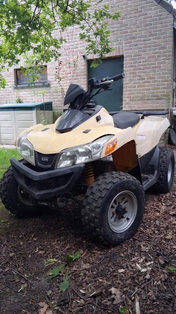 Quad Sym Quadlander 260  met werk aan!, Motoren