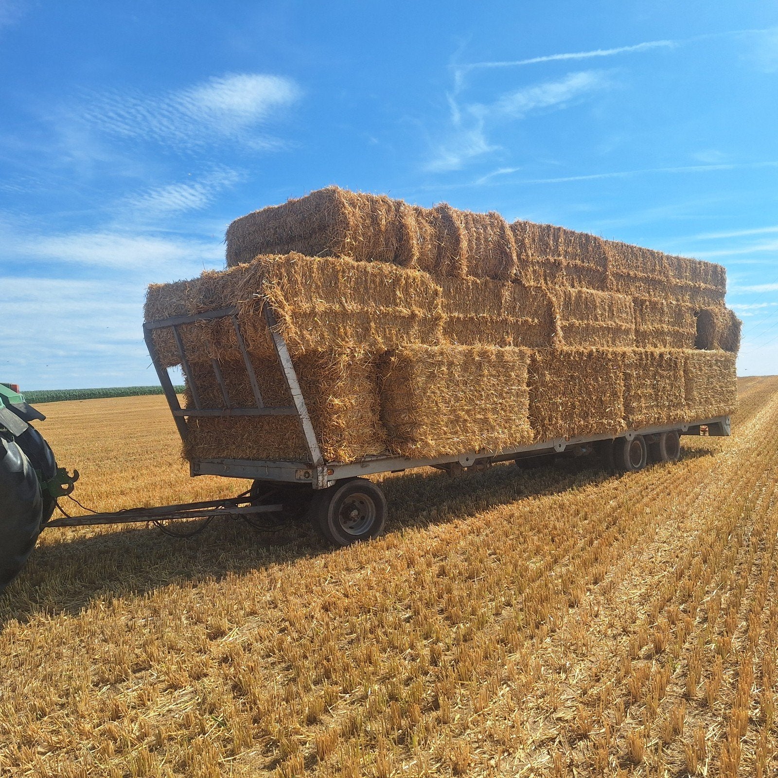 Camion à paille, Articles professionnels, Agriculture | Outils, Enlèvement ou Envoi