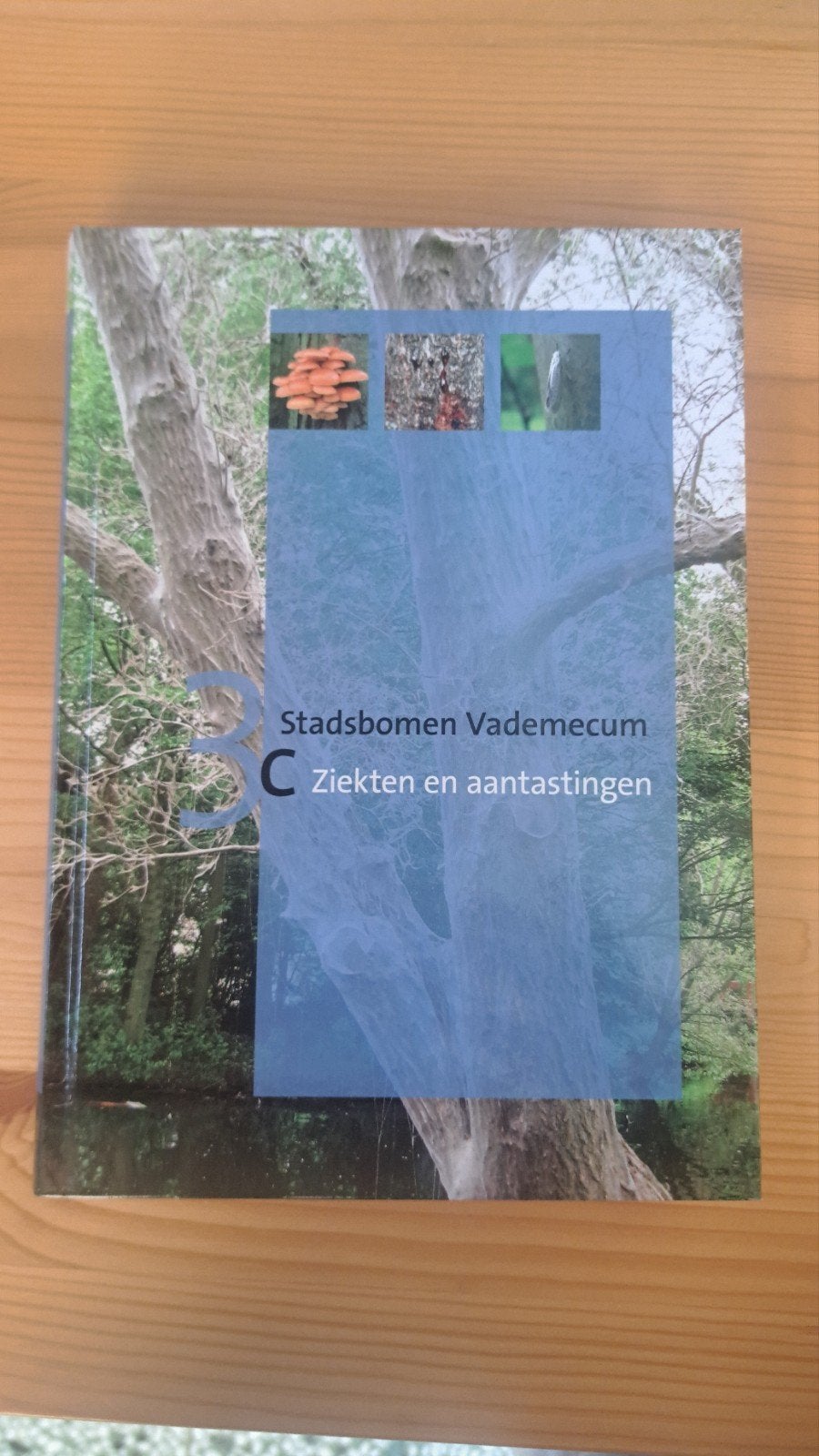Stadsbomen vademecum 3C: ziekten en aantastingen, Livres, Maison & Jardinage, Enlèvement ou Envoi, Neuf