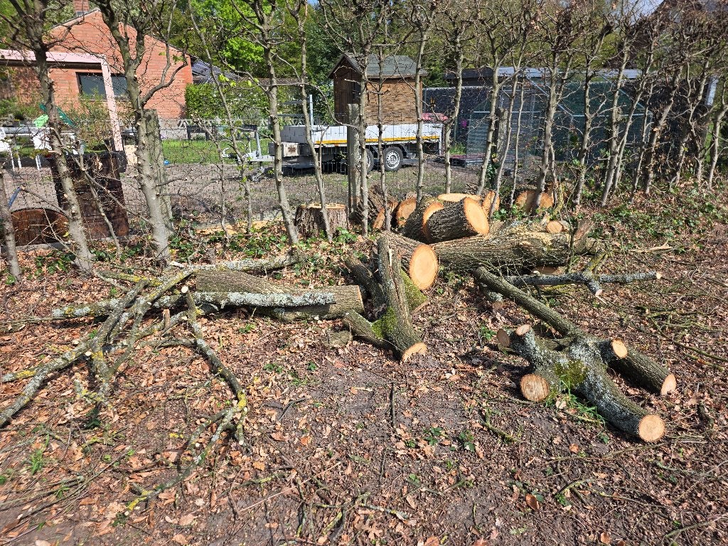 GRATIS brandhout (eik), Ophalen, Eikenhout, Blokken