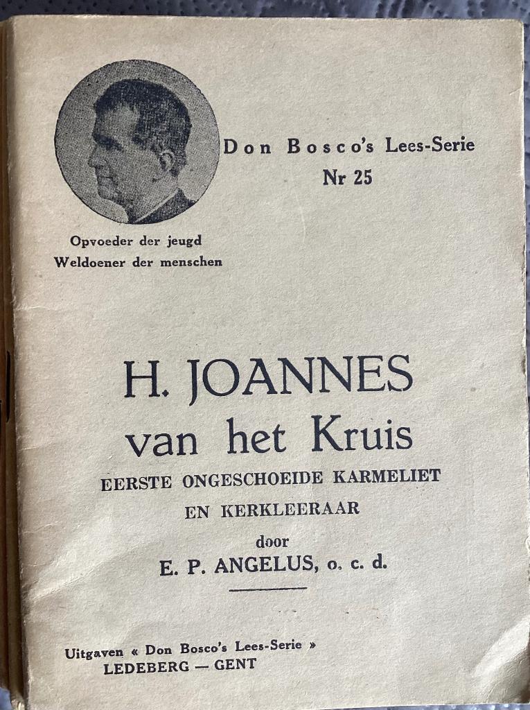 Lot van 33 boekjes uit de DON BOSCO Lees - Serie, Verzamelen, Ophalen of Verzenden, Gebruikt, Boek, Christendom | Katholiek
